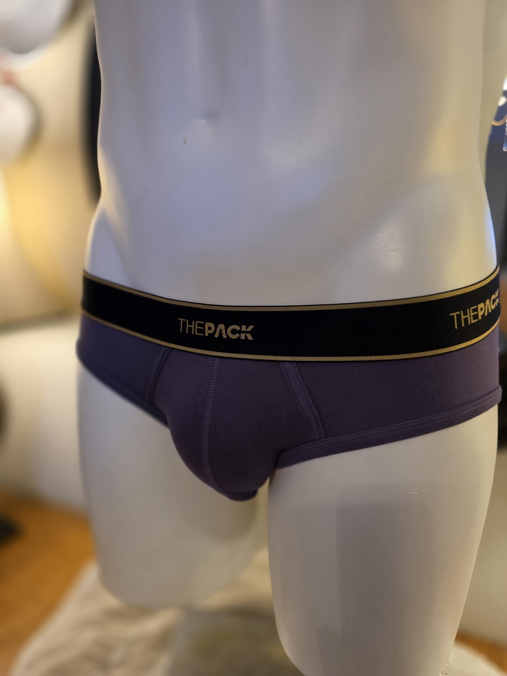 Men's Briefs in Deep Purple with Black & Gold Waistband